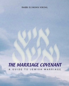 marriage_cove_rabbiknohl